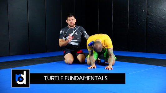 Top Ten Attacks From Turtle Position